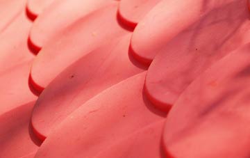 Blackbrook plastic roof costs