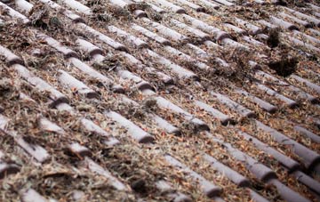 Blackbrook roof cleaning companies