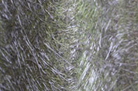 Blackbrook fibreglass roof work